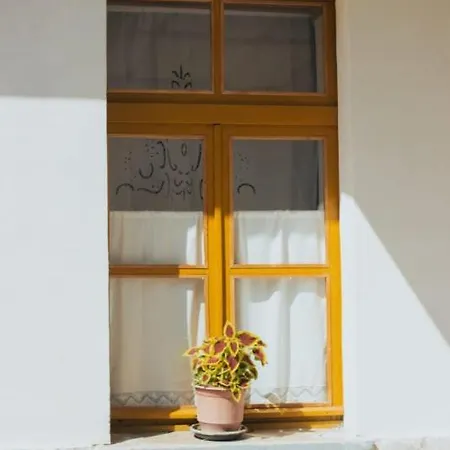 Paspali Гирокастра